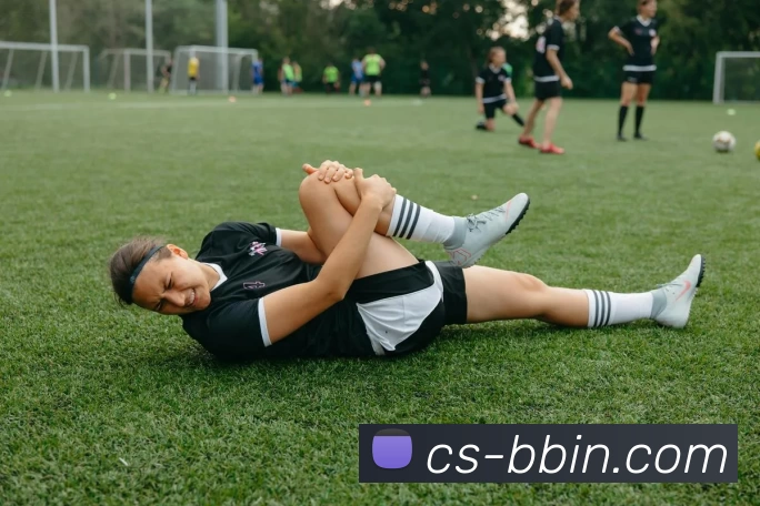 bbin体育平台发展历程